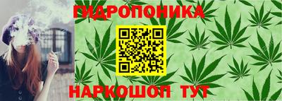 мяу мяу мука Мариинск