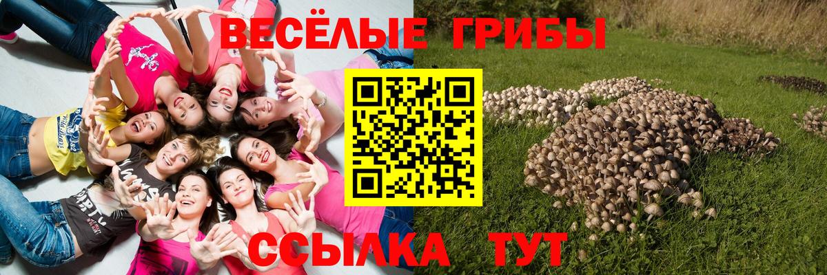 Галлюциногенные грибы Magic Shrooms Дербент